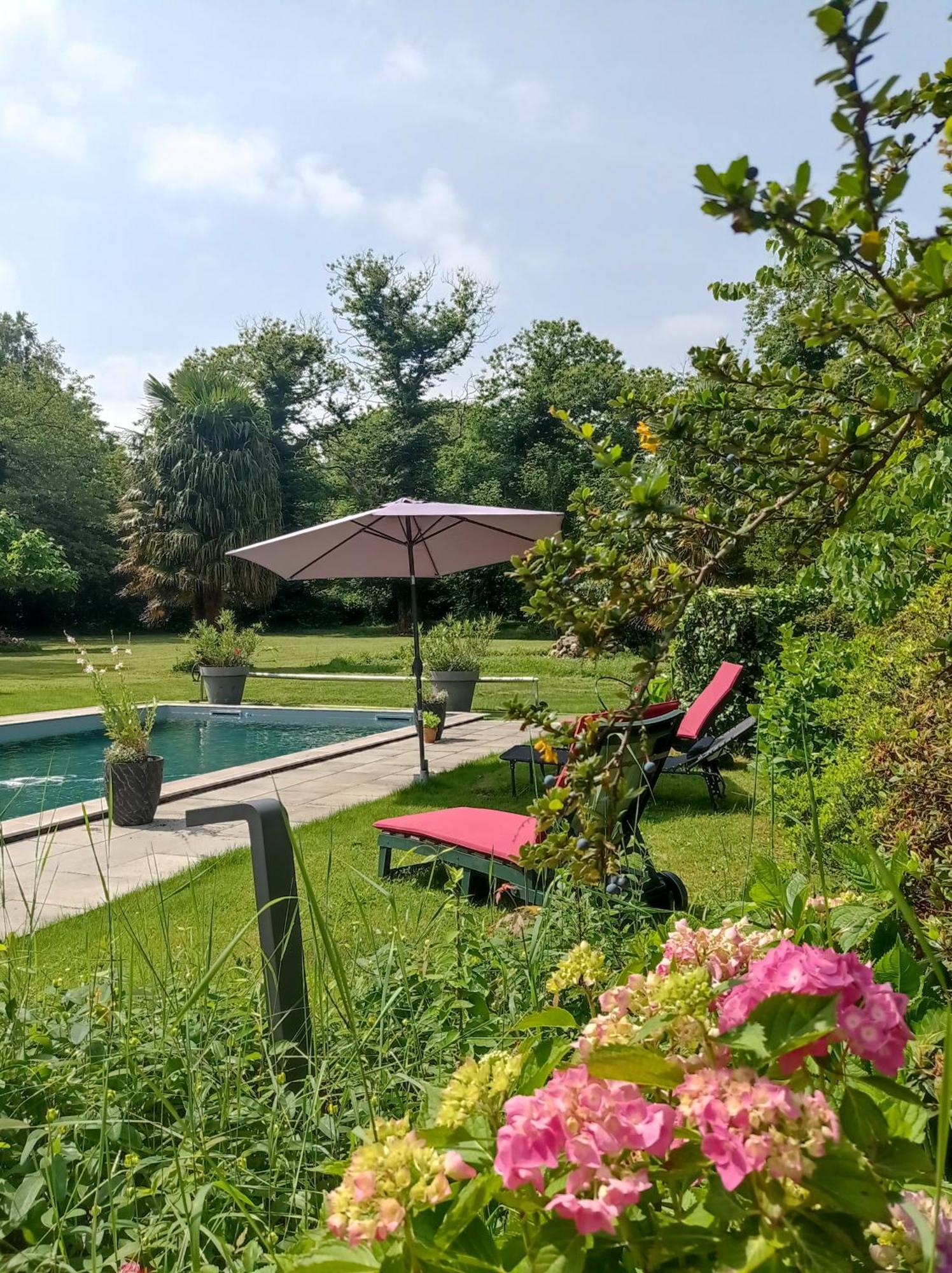 Le Clos De Cinacle Ogeu-les-Bains Eksteriør billede